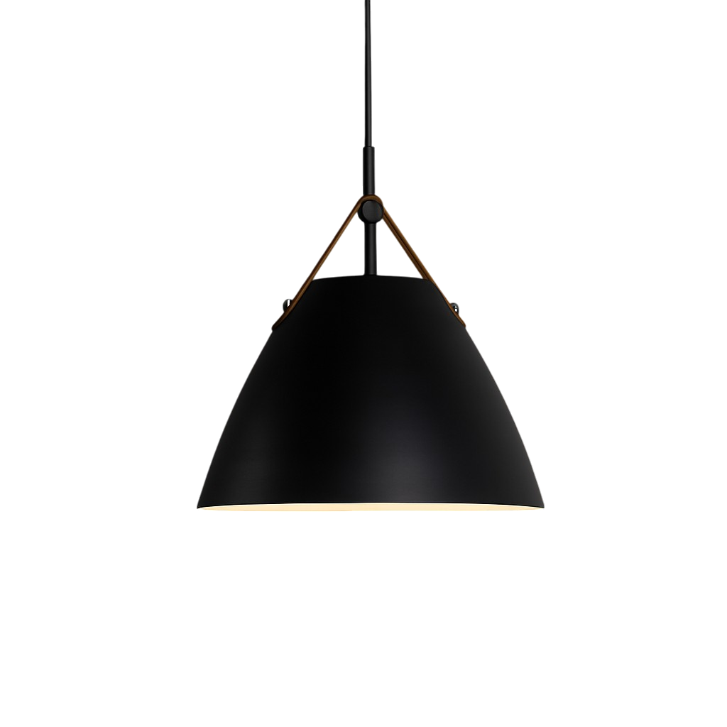 Scandinavian Colored Pendant Light